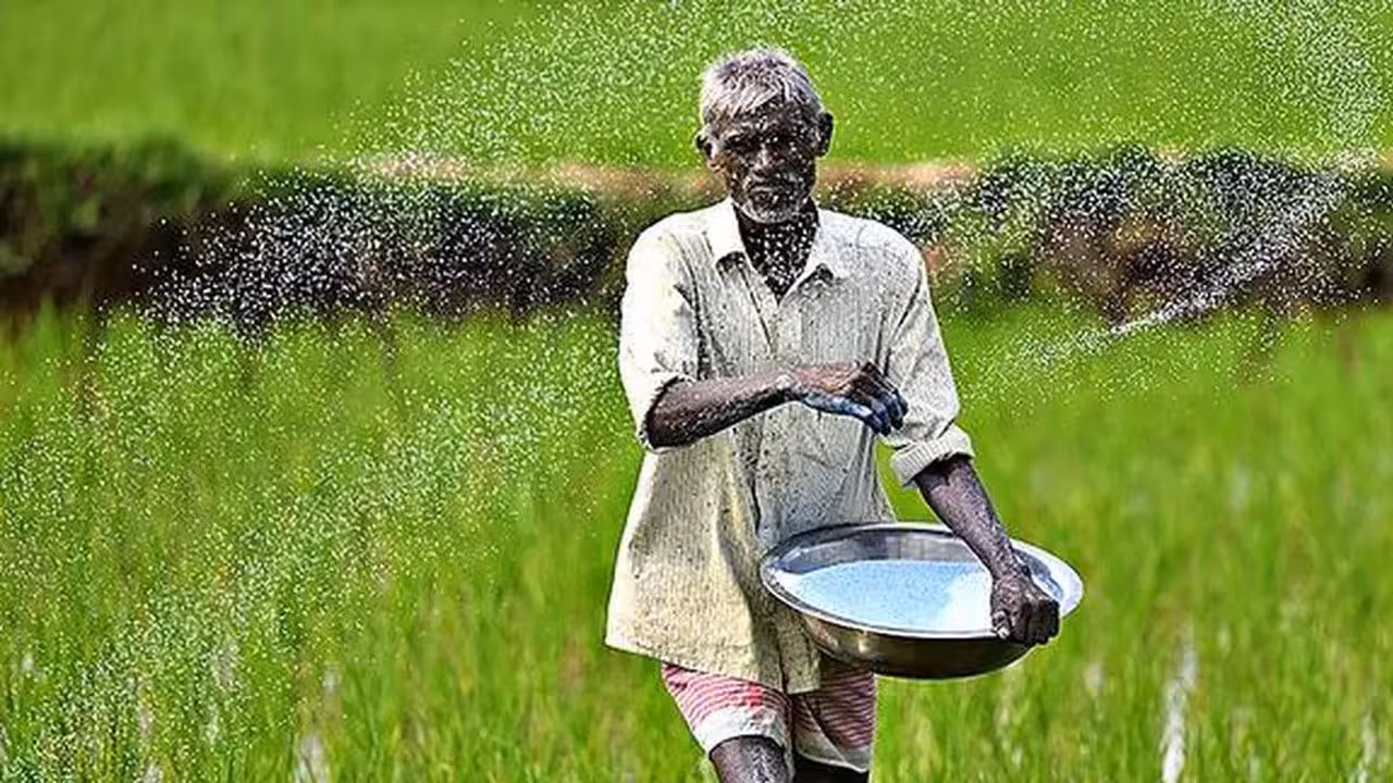 Fertiliser | ఖరీఫ్కు అవసరమైన ఎరువులున్నయ్.. రైతులు ఆందోళన చెందొద్దన్న కేంద్రం..!