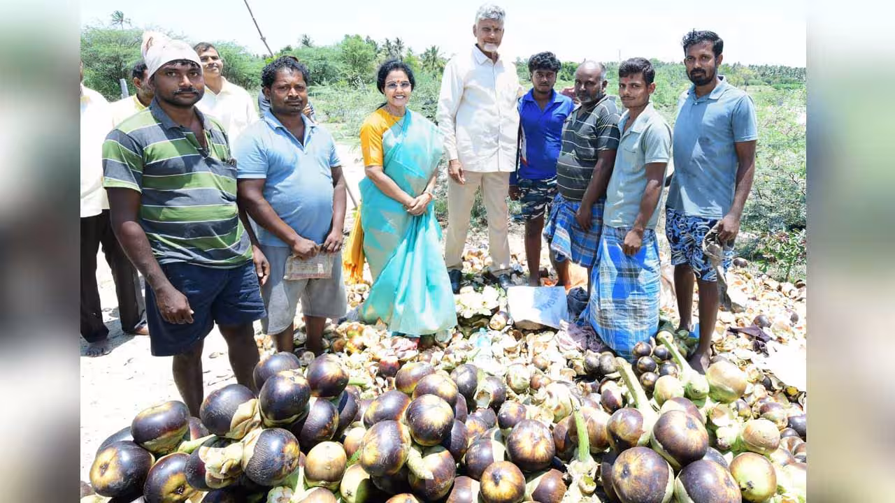 CM Chandrababu | తాటి ముంజలు తింటుంటే ఎంతో హాయి.. చంద్రబాబు ట్వీట్