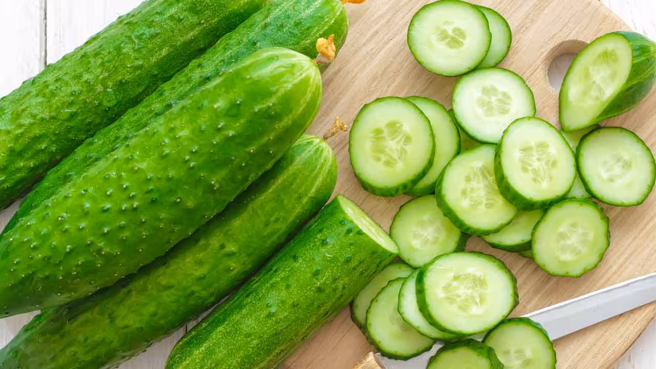 Cucumber | రాత్రిపూట కీరదోసను తినవచ్చా.. వైద్యులు ఏం చెబుతున్నారు..?