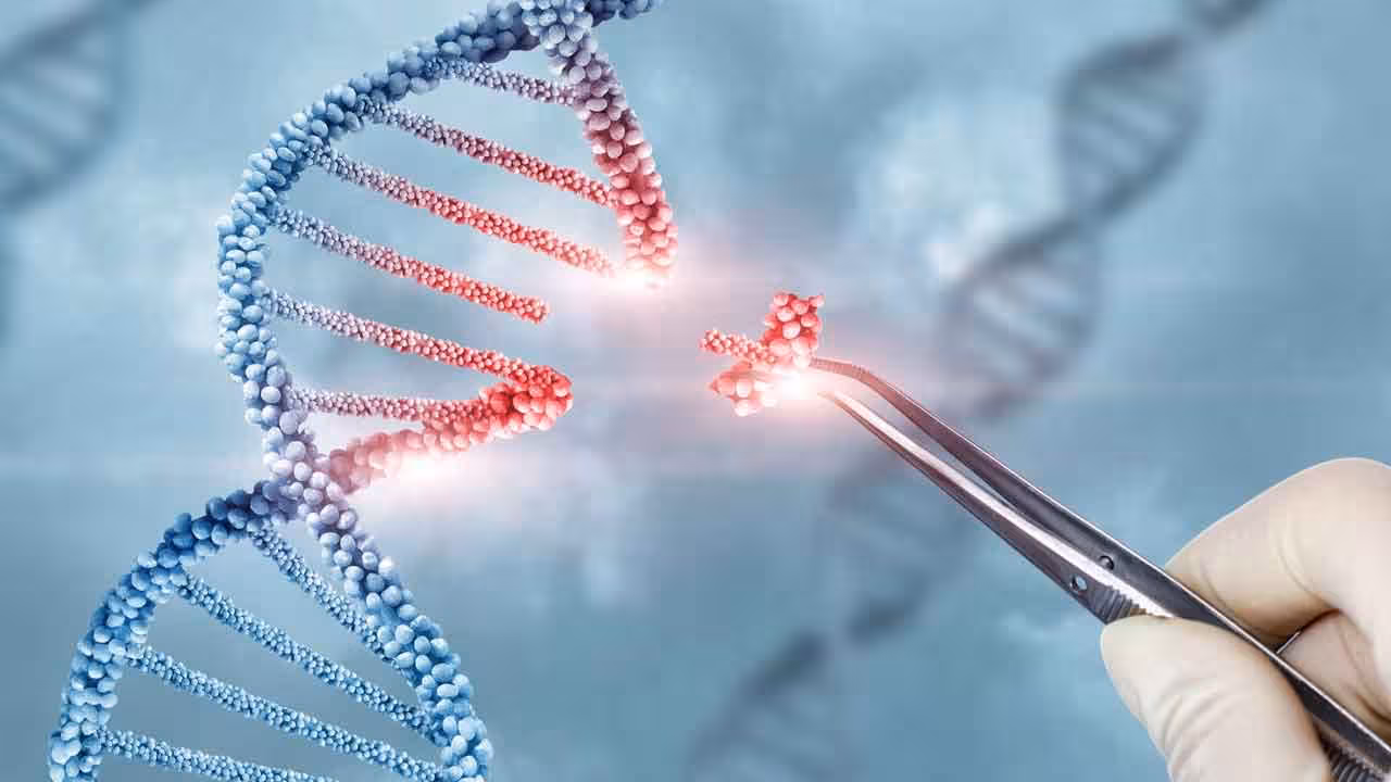 Gene Therapy | కొలెస్ట్రాల్ తగ్గాలంటే ఇక మందులను వాడక్కర్లేదు.. జీన్ థెరపీతో సాధ్యం..