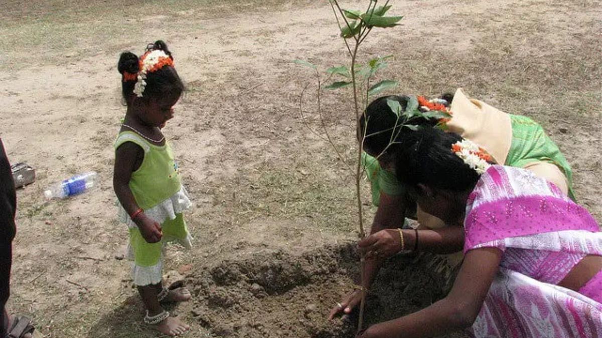 Piplantri Village Planting 111 Trees for Every Baby Girl Born