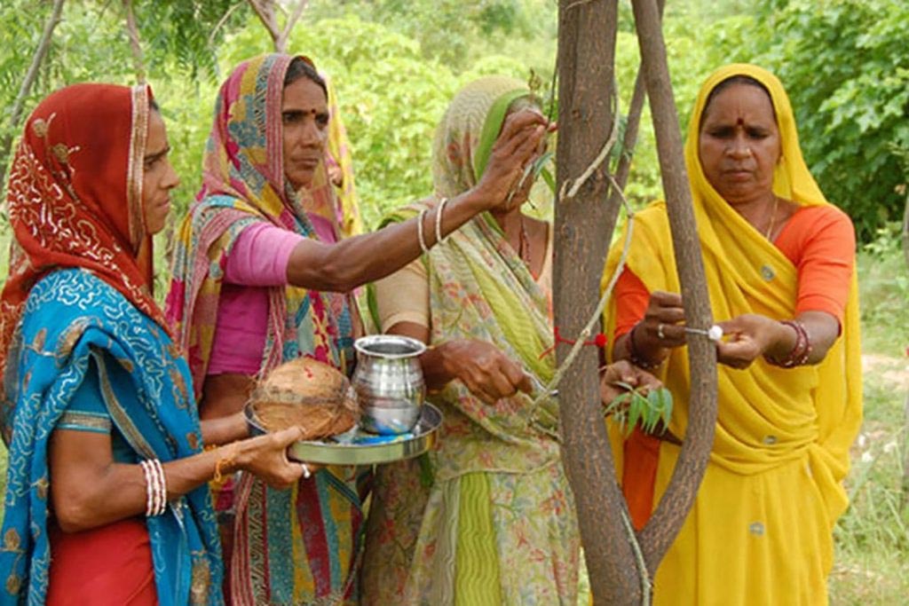 Piplantri Village Planting 111 Trees for Every Baby Girl Born