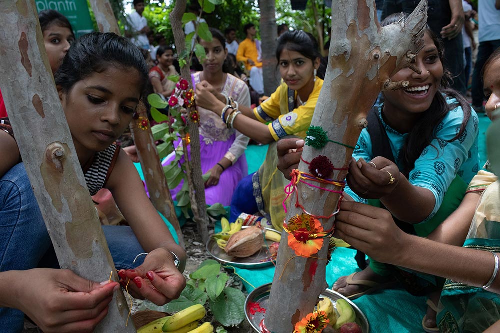 Piplantri Village Planting 111 Trees for Every Baby Girl Born