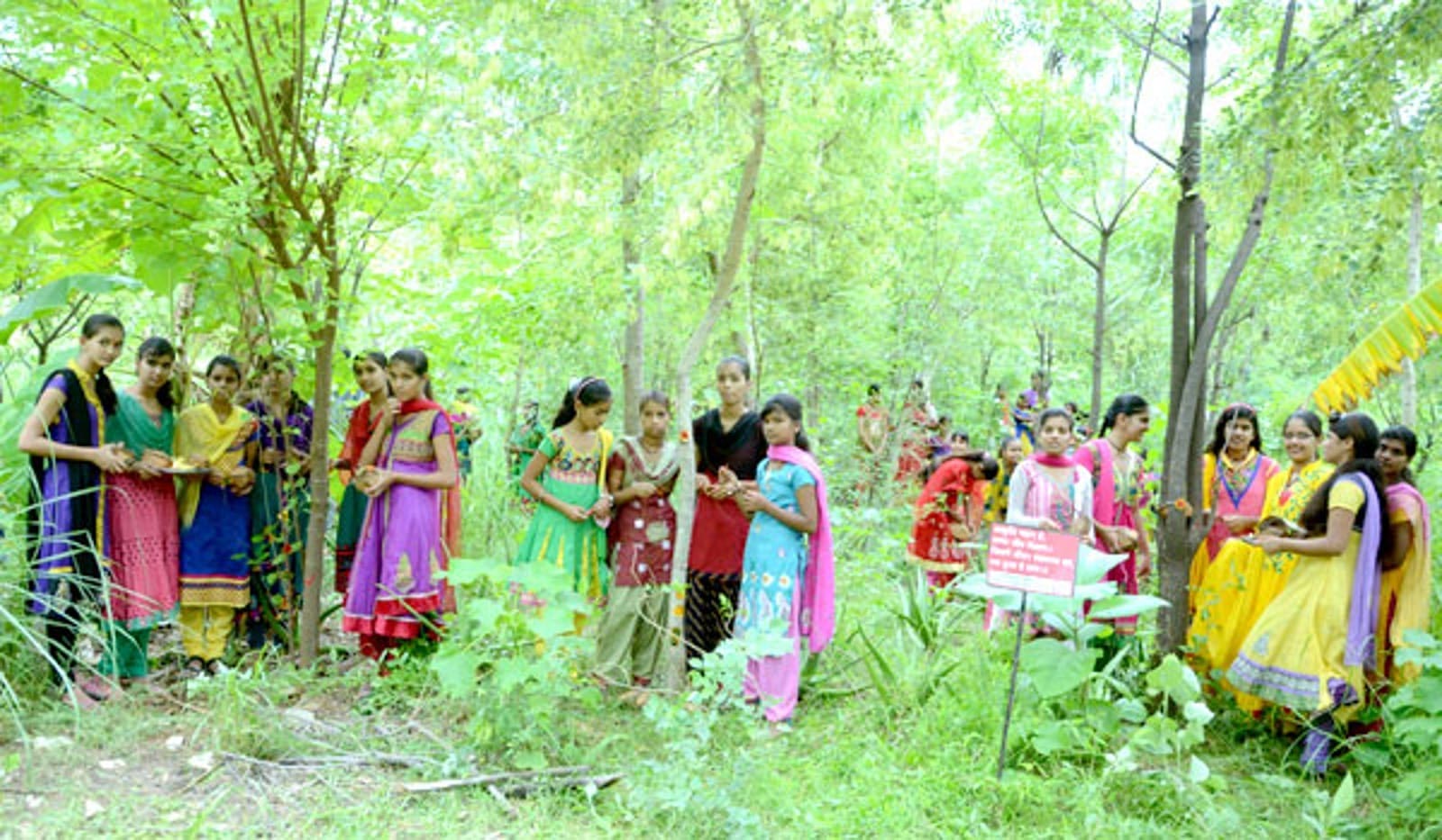 Piplantri Village Planting 111 Trees for Every Baby Girl Born