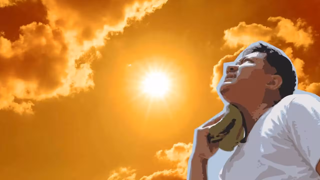 Heatstroke | వడదెబ్బతో ఒక్కరోజే 51 మంది మృతి.. ఉమ్మడి వరంగల్లోనే 23 మంది