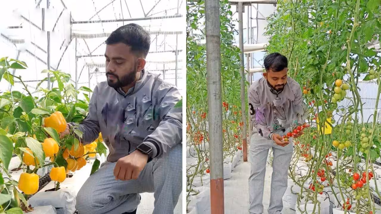 Hydroponic Farm | హైడ్రోఫోనిక్ వ్యవసాయం.. ఎకరాకు రూ. 57 లక్షలు సంపాదిస్తున్న ఐఐఎం ఎంబీఏ గ్రాడ్యుయేట్