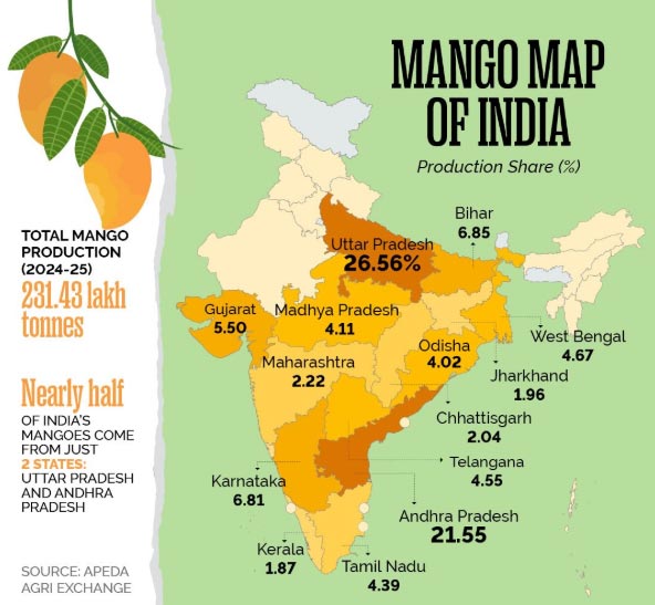 Japan Bans Indian Mangoes After 20 Years