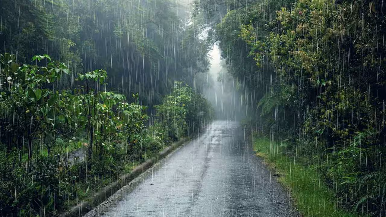 IMD | ముందే వస్తున్న రుతుపవనాలు.. ఈ నెల 14 -16 మధ్య అండమాన్ను తాకనున్న నైరుతి