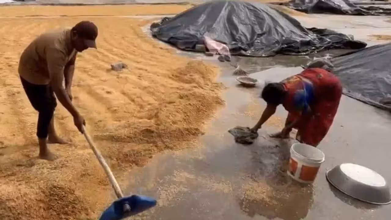 Paddy | ధాన్యమంతా నీళ్ల పాలు.. అకాల వర్షానికి నీటమునిగిన కళ్లాలు