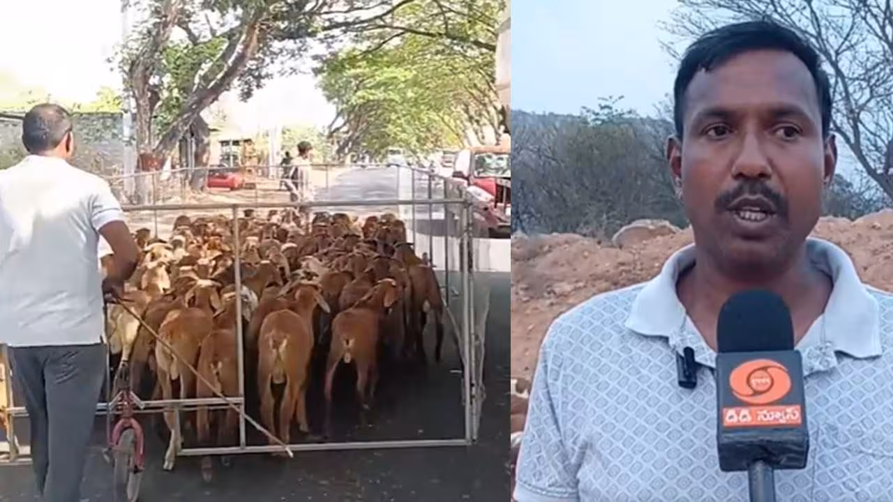 Sheep | గొర్రెల రక్షణ కోసం.. సూర్యాపేట రైతు అద్భుత ఆవిష్కరణ
