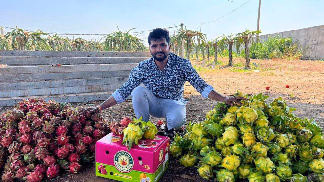 Zaheerabad Farmers | జహీరాబాద్ రైతుల వినూత్న ప్రయత్నం.. 130 రకాల పంటలు సాగు..!