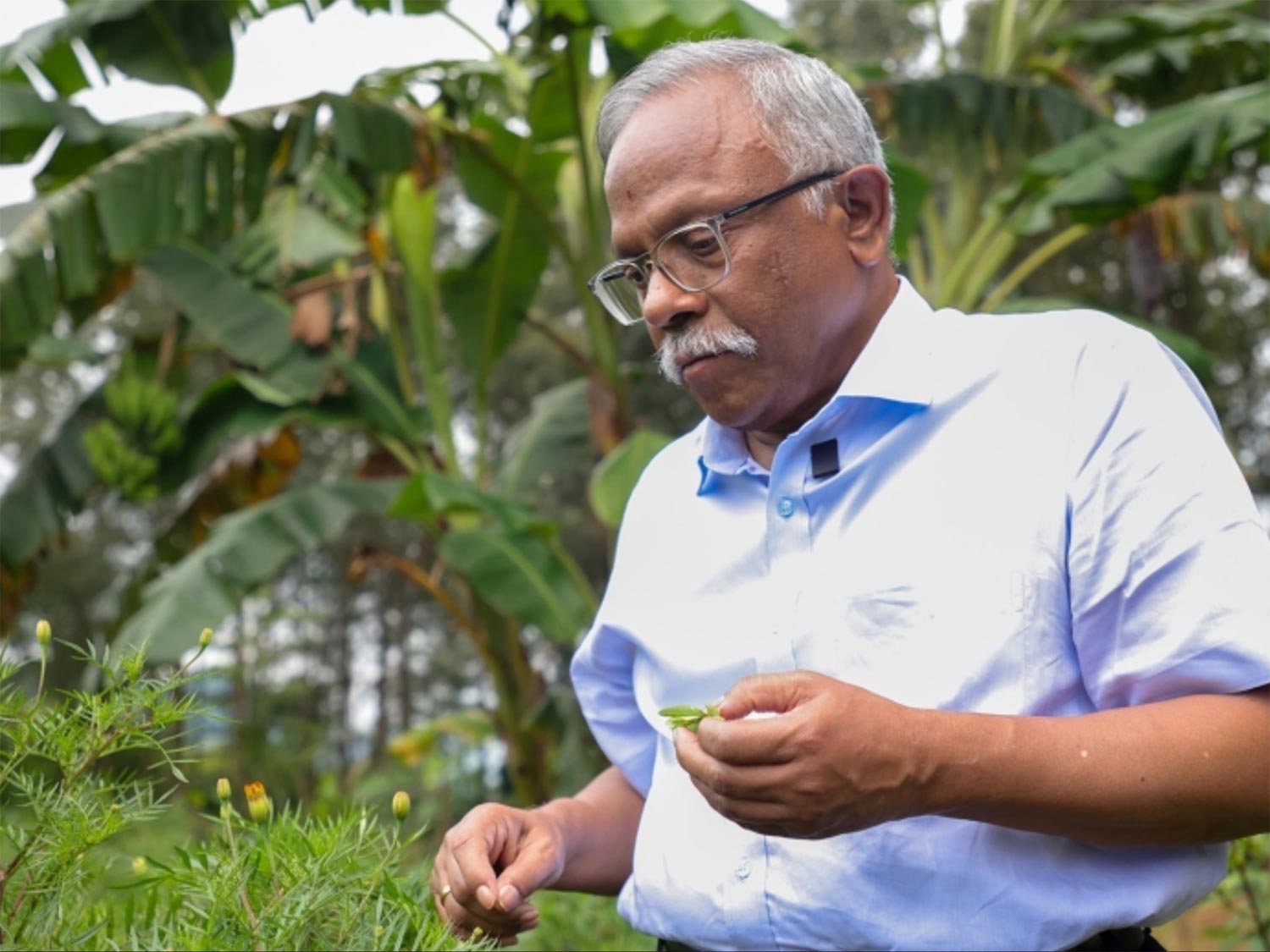Andhra Pradesh Wins $1.5M Food Planet Prize 2026 for Natural Farming
